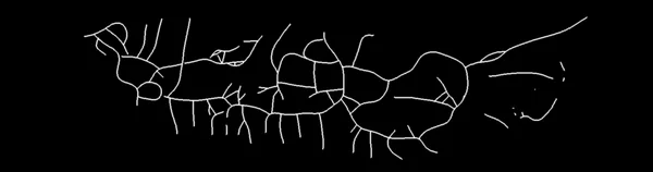 Study 1 · Stroke skeleton