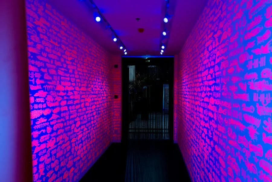 Luminous Opera Corridor Installation